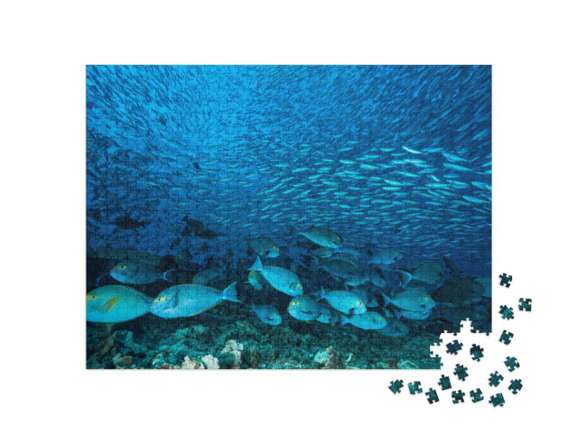 Puzzle 1000 pezzi „Un enorme banco di pesci chirurgo blu sulla barriera corallina“