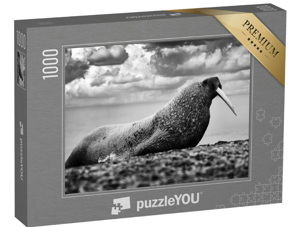 Puzzle 1000 pezzi „Tricheco su una spiaggia sabbiosa alle Svalbard, Norvegia“