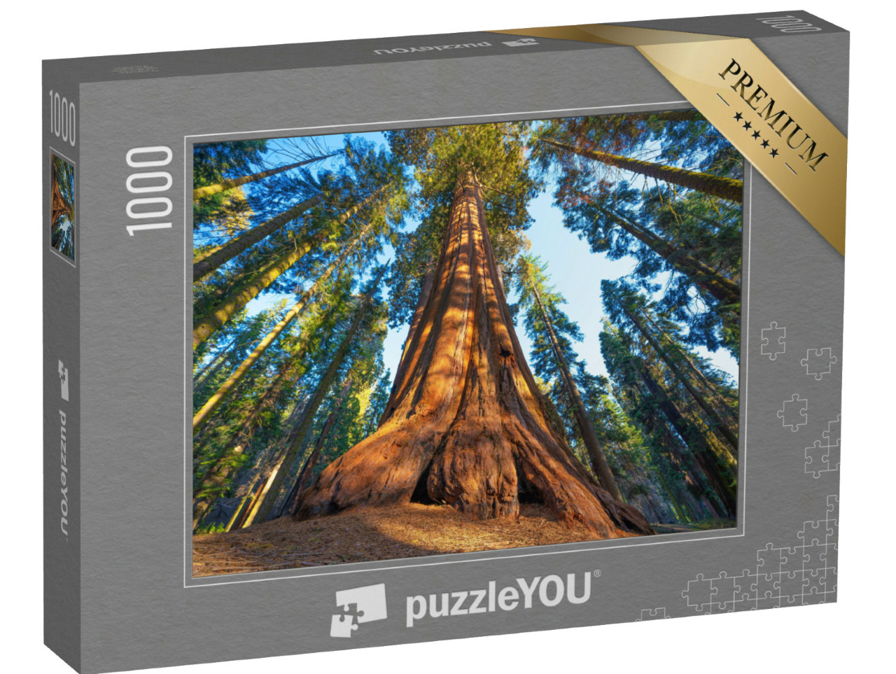 Puzzle 1000 pezzi „Una sequoia gigante al tramonto“