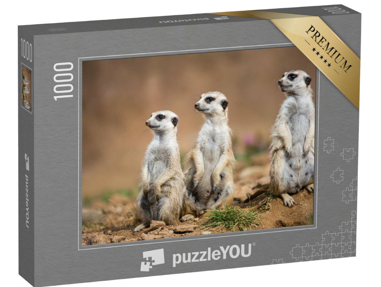 Puzzle 1000 pezzi „I suricati fanno la guardia“