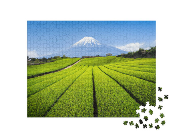 Puzzle 1000 pezzi „Monte Fuji con piantagione di tè verde, Prefettura di Shizuoka, Giappone“