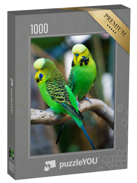 Puzzle 1000 pezzi „Due pappagallini seduti su un ramo“