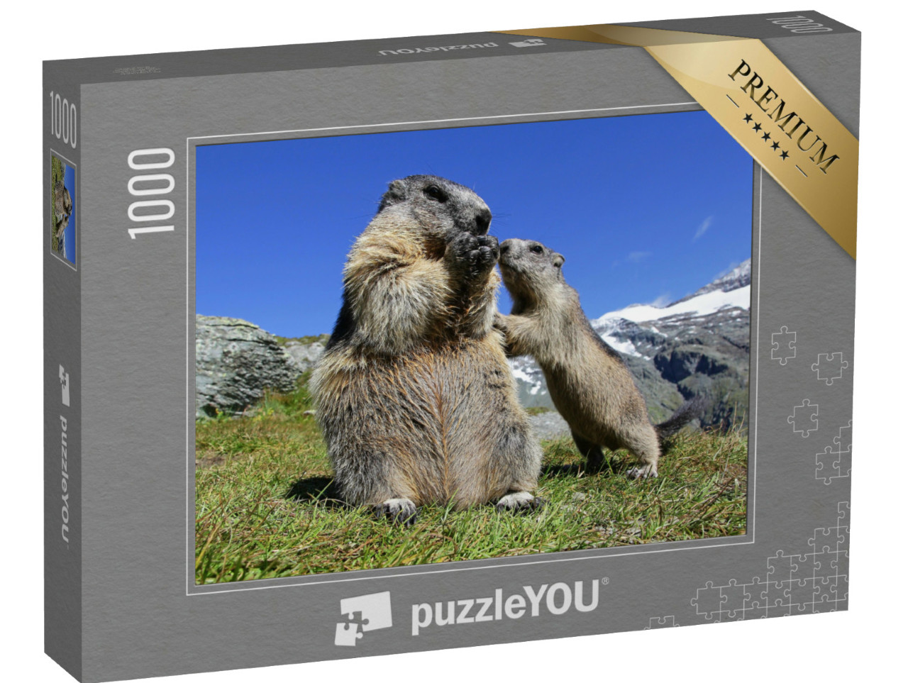 Puzzle 1000 pezzi „Madre marmotta con i suoi curiosi piccoli, Austria“