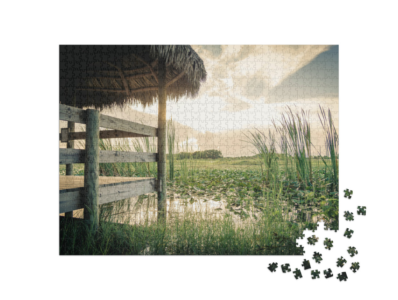 Puzzle 1000 pezzi „Parco nazionale delle Everglades, Louisiana, USA“