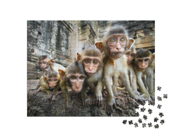 Puzzle 1000 pezzi „Piccole scimmie curiose, Lopburi, Thailandia“