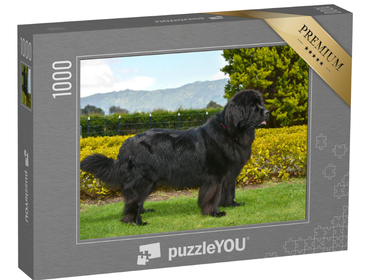 Puzzle 1000 pezzi „Terranova nero“