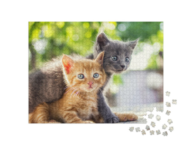 Puzzle 1000 pezzi „Due adorabili gattini giocano“