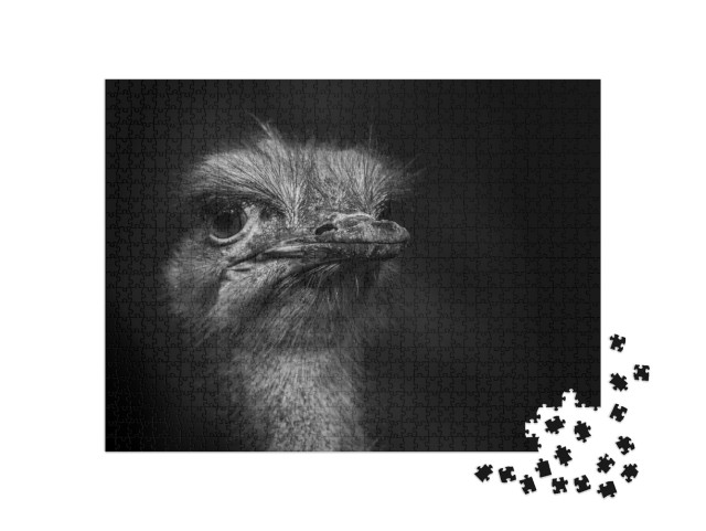 Puzzle 1000 pezzi „Fotografia di una testa di struzzo“