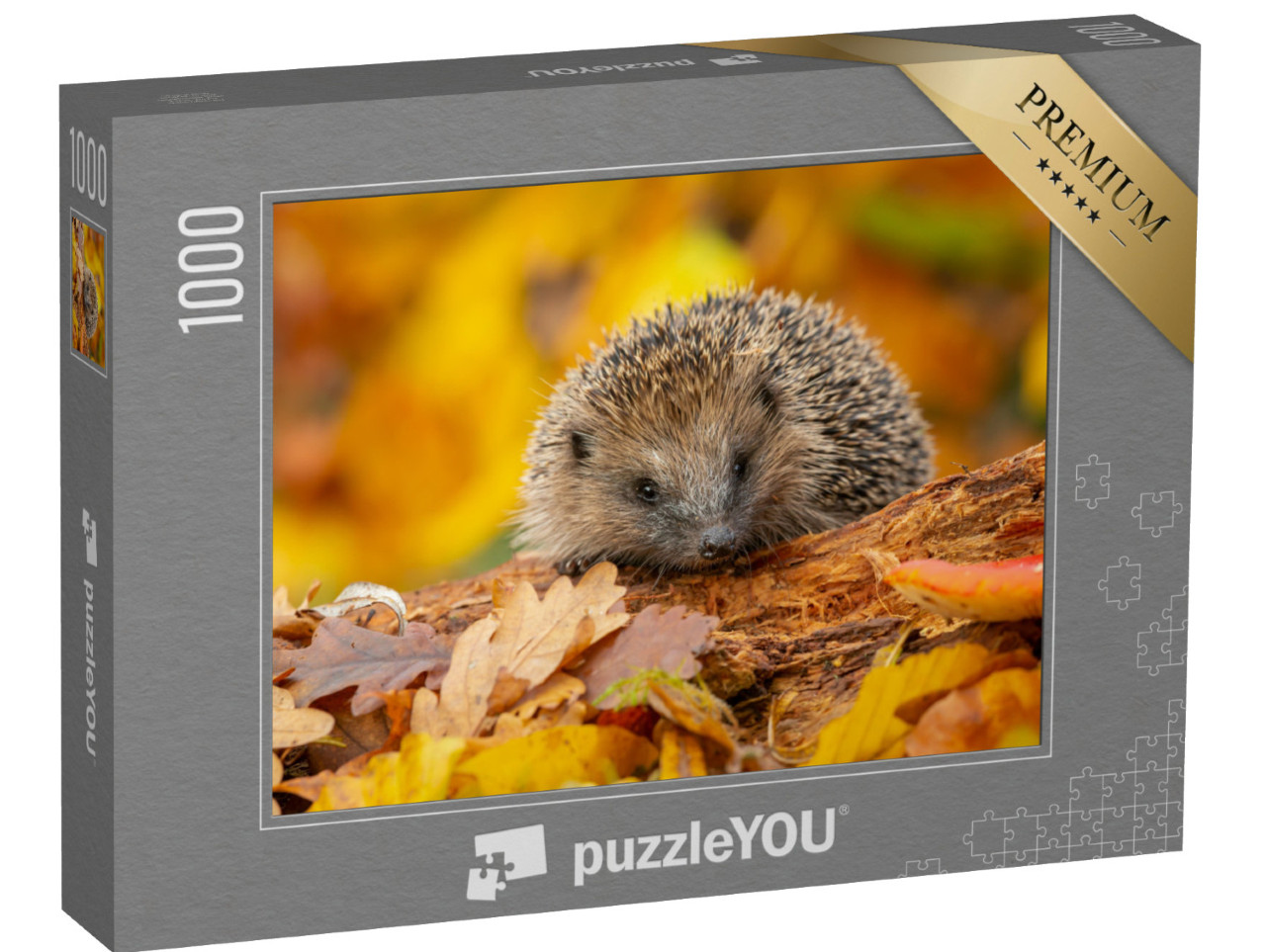 Puzzle 1000 pezzi „Un simpatico riccio tra le foglie d'autunno“