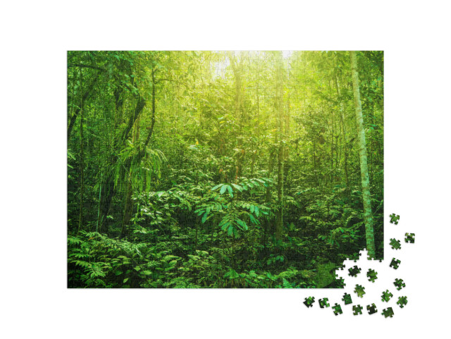 Puzzle 1000 pezzi „La foresta tropicale con la sua diversità verde“