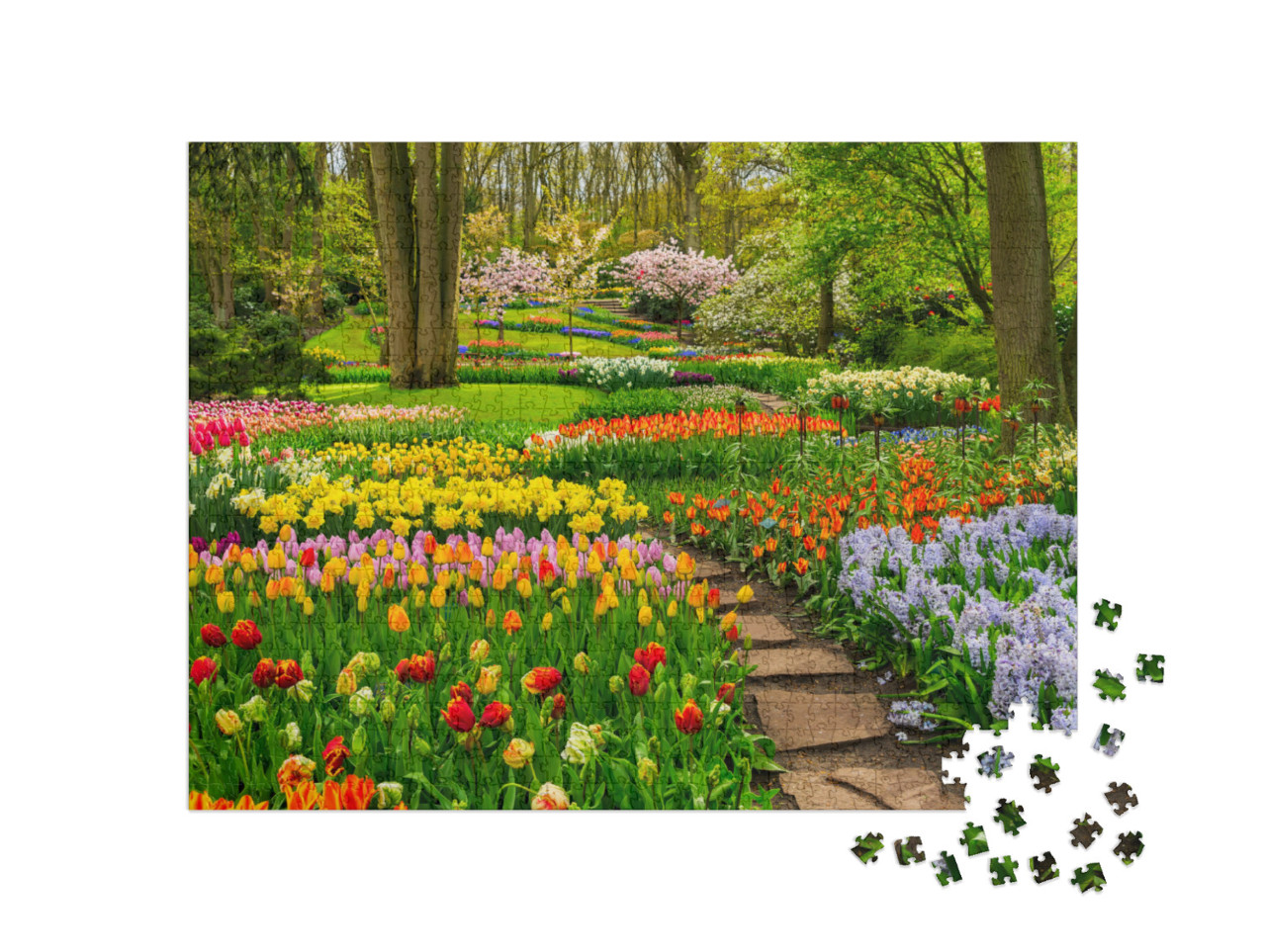 Puzzle 1000 pezzi „Giardino di tulipani colorati sotto gli alberi“