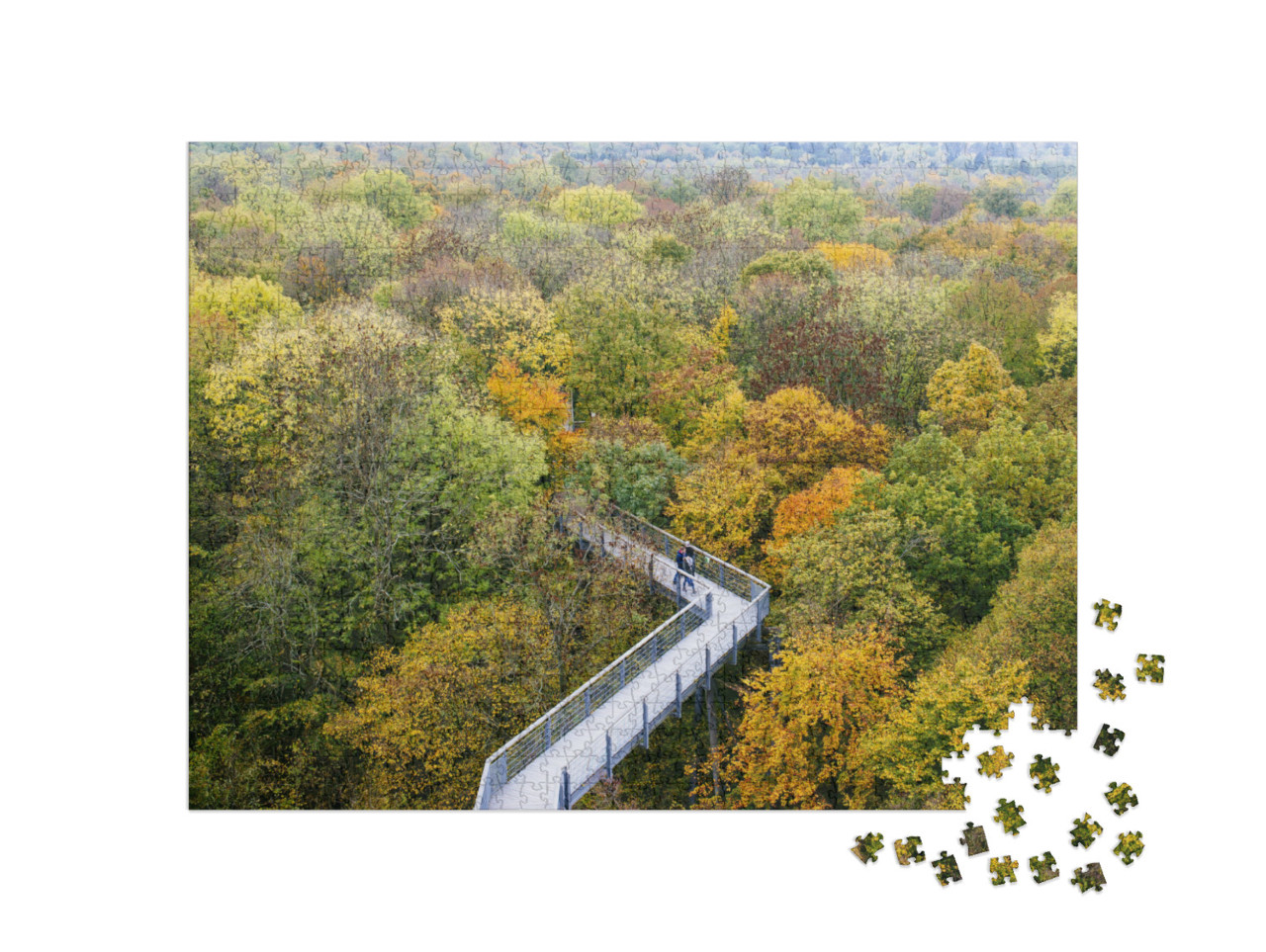 Puzzle 1000 pezzi „Sentiero tra gli alberi nel Parco Nazionale di Hainich, Turingia“