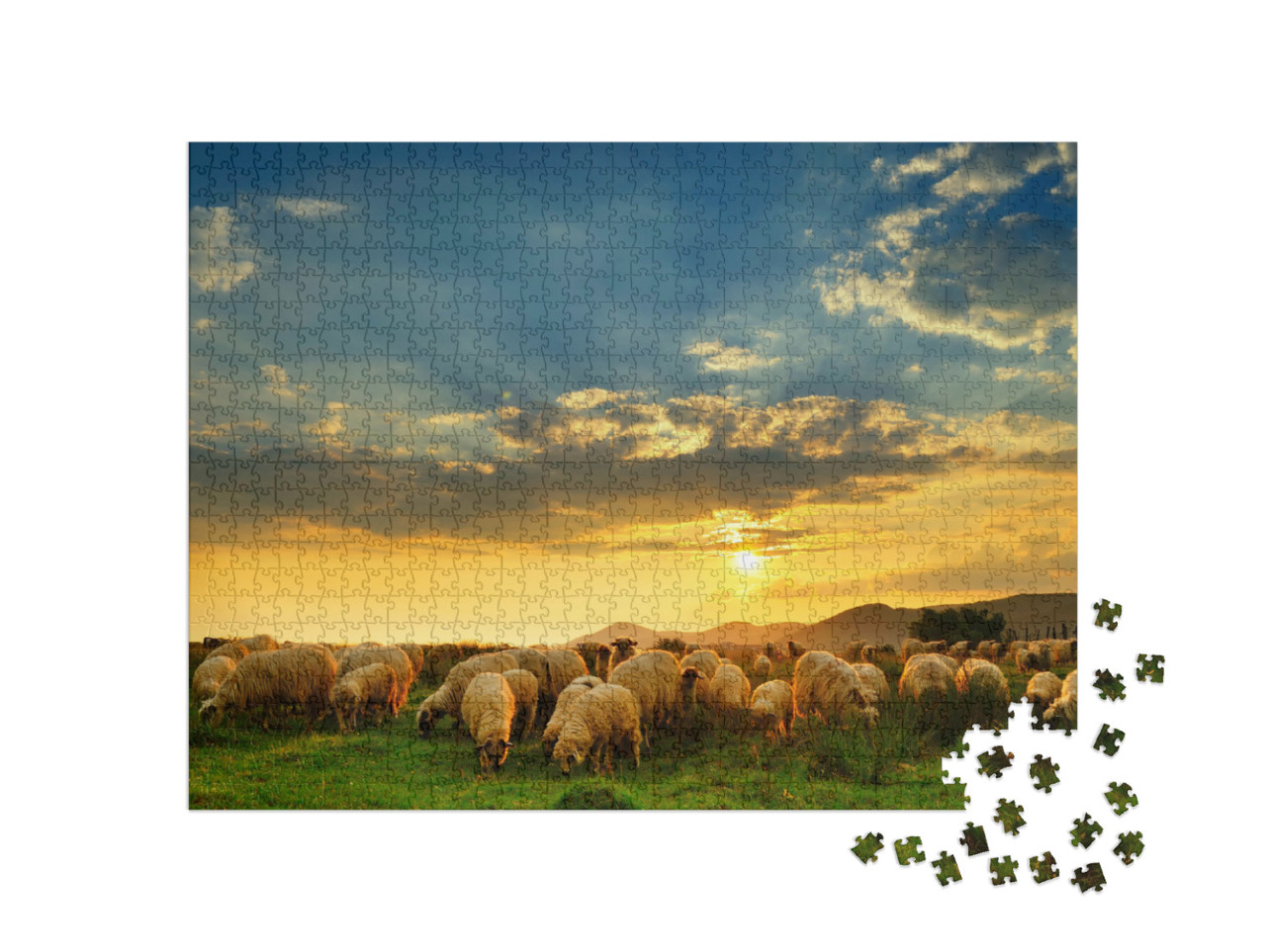 Puzzle 1000 pezzi „Un gregge di pecore al pascolo su una collina al tramonto“