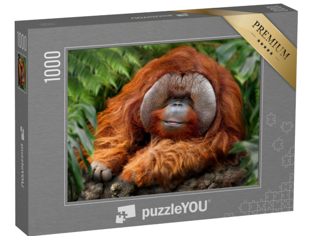 Puzzle 1000 pezzi „Foresta pluviale tropicale con oranghi“