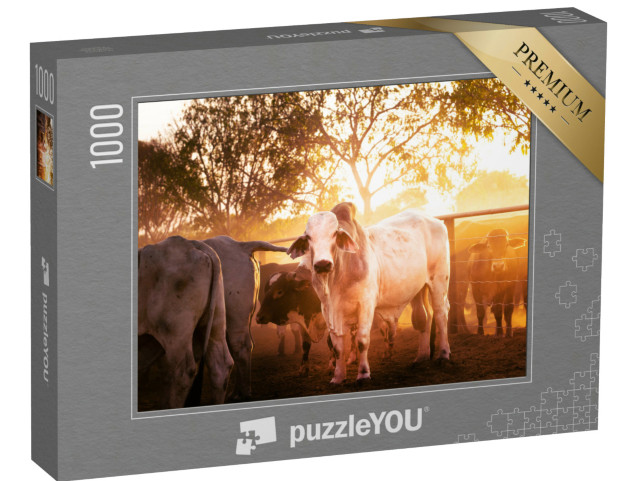 Puzzle 1000 pezzi „Giovani tori nel recinto, Territorio del Nord, Australia“