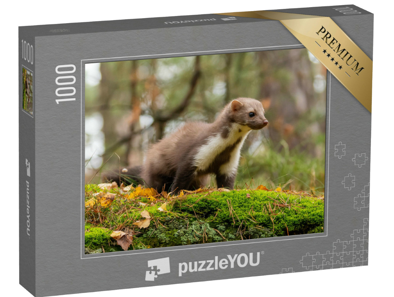 Puzzle 1000 pezzi „Una martora europea“