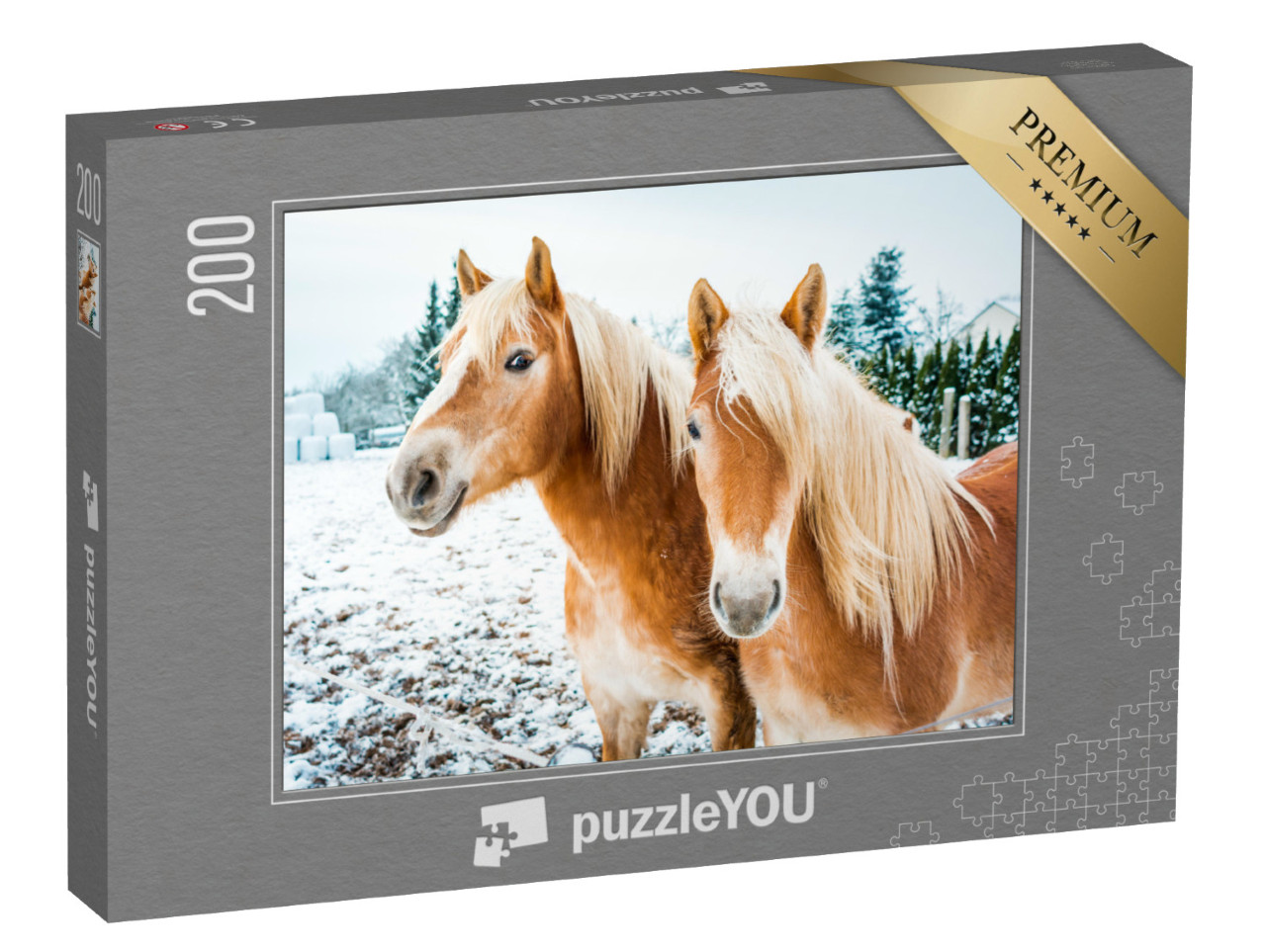 Puzzle 200 pezzi „Cavalli avelignesi su un prato coperto di neve“