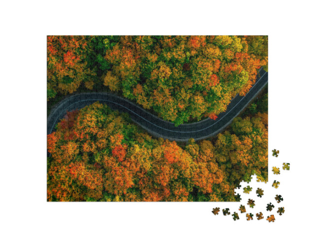 Puzzle 1000 pezzi „Vista a volo d'uccello: strada tortuosa nella fitta foresta autunnale“