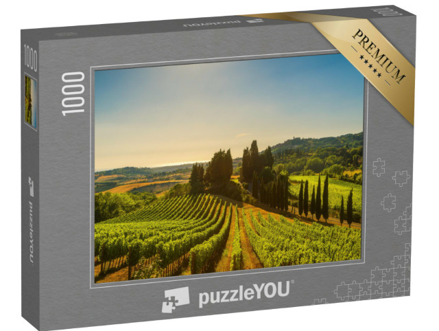 Puzzle 1000 pezzi „Vigneti e paesaggio in Maremma, Toscana, Italia“