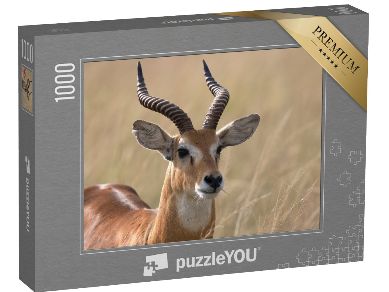 Puzzle 1000 pezzi „Antilope kob dell'Uganda, Africa“