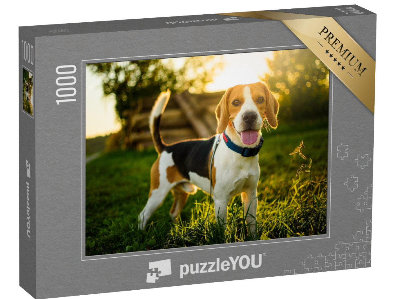 Puzzle 1000 pezzi „Un beagle al tramonto“