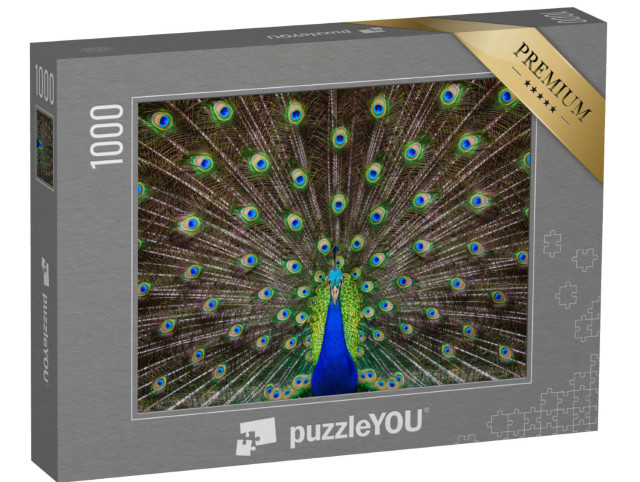 Puzzle 1000 pezzi „Ritratto di un pavone con piume allungate“