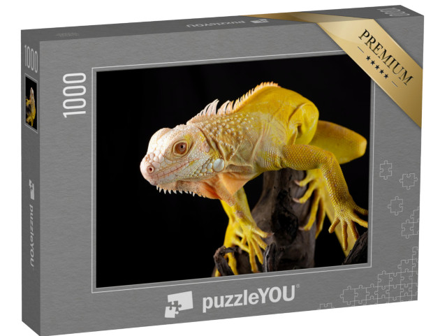 Puzzle 1000 pezzi „Iguana gialla“