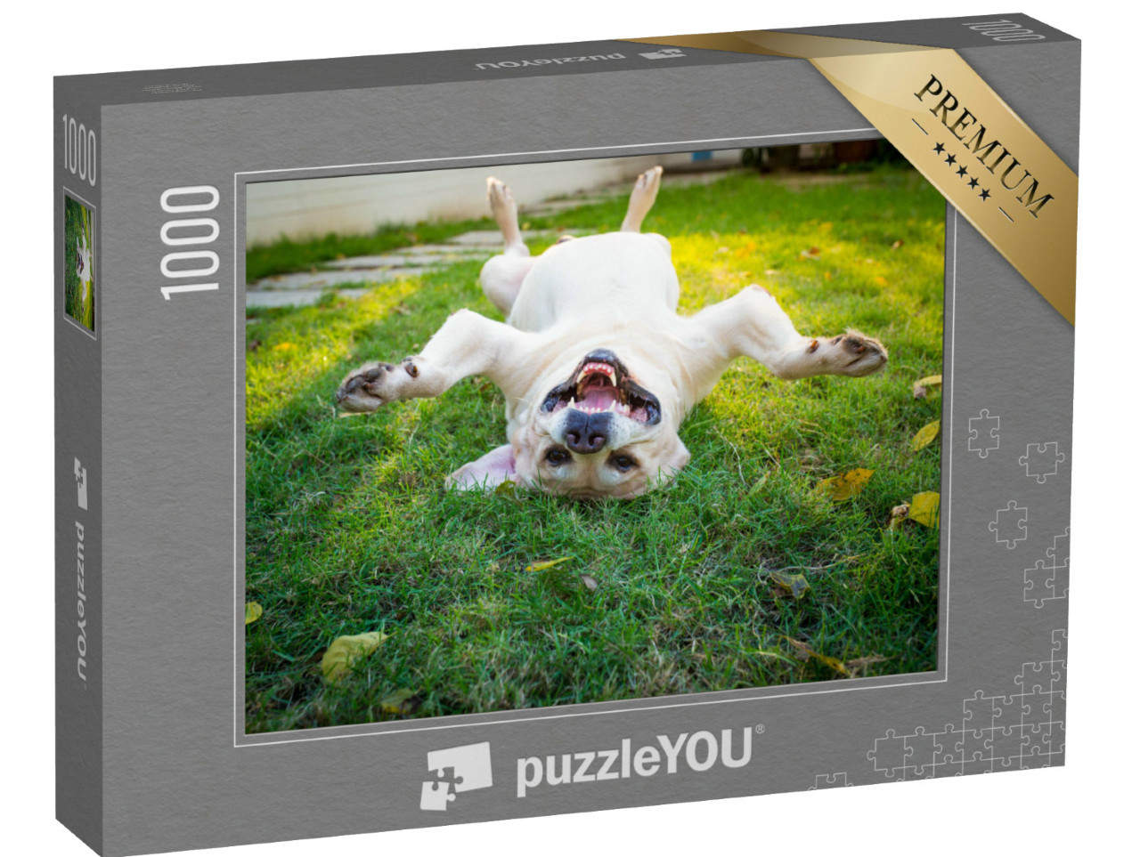 Puzzle 1000 pezzi „Labrador Retriever a testa in giù sulla schiena“