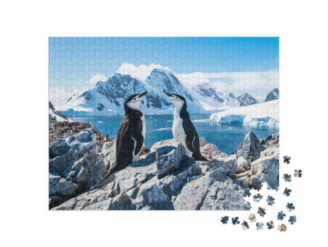Puzzle 1000 pezzi „Pinguino sottogola, Antartide, gennaio 2019“