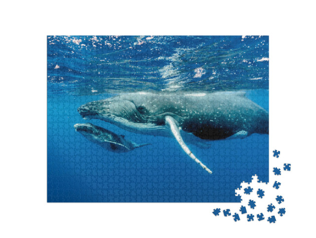 Puzzle 1000 pezzi „Due megattere sotto la superficie nell'Oceano Pacifico“