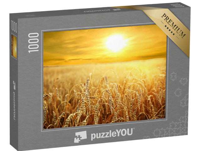 Puzzle 1000 pezzi „Tramonto sul campo di grano dorato“