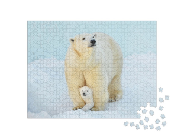 Puzzle 1000 pezzi „Un orso polare con un cucciolo di orso nella neve“