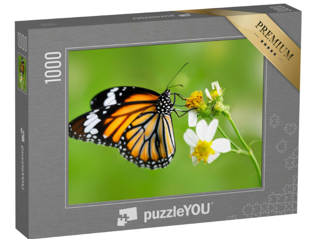 Puzzle 1000 pezzi „Farfalla del genere farfalla tigre comune su un fiore“