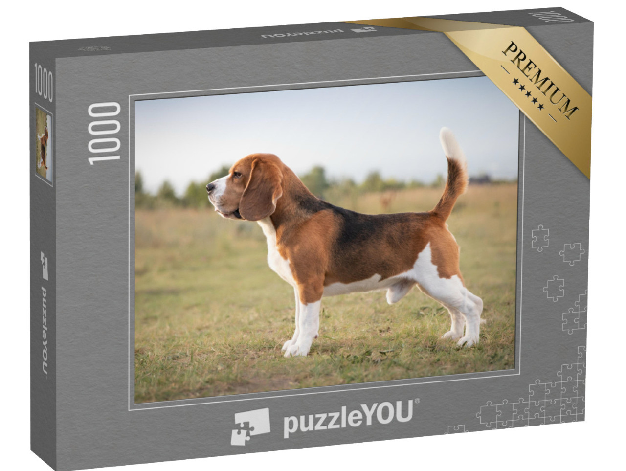 Puzzle 1000 pezzi „Un beagle pronto a cacciare“