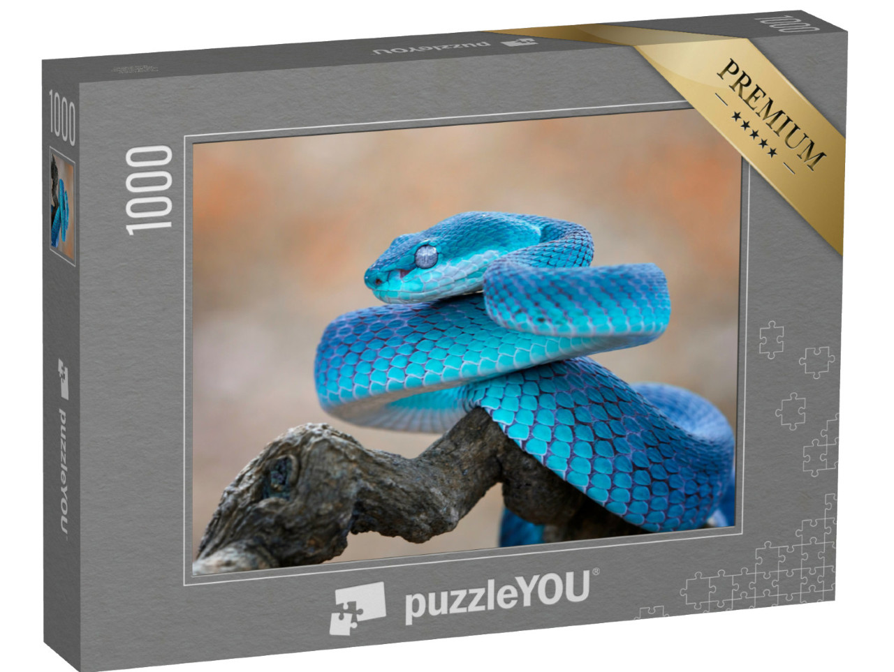 Puzzle 1000 pezzi „Vipera blu“