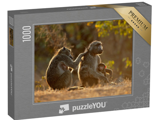 Puzzle 1000 pezzi „Vita di famiglia con i babbuini Chacma, Parco Nazionale Kruger, Sudafrica“