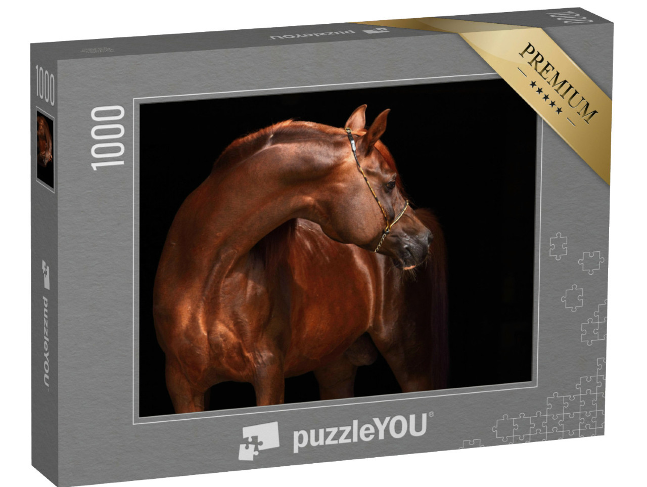 Puzzle 1000 pezzi „Ritratto di uno stallone arabo purosangue“