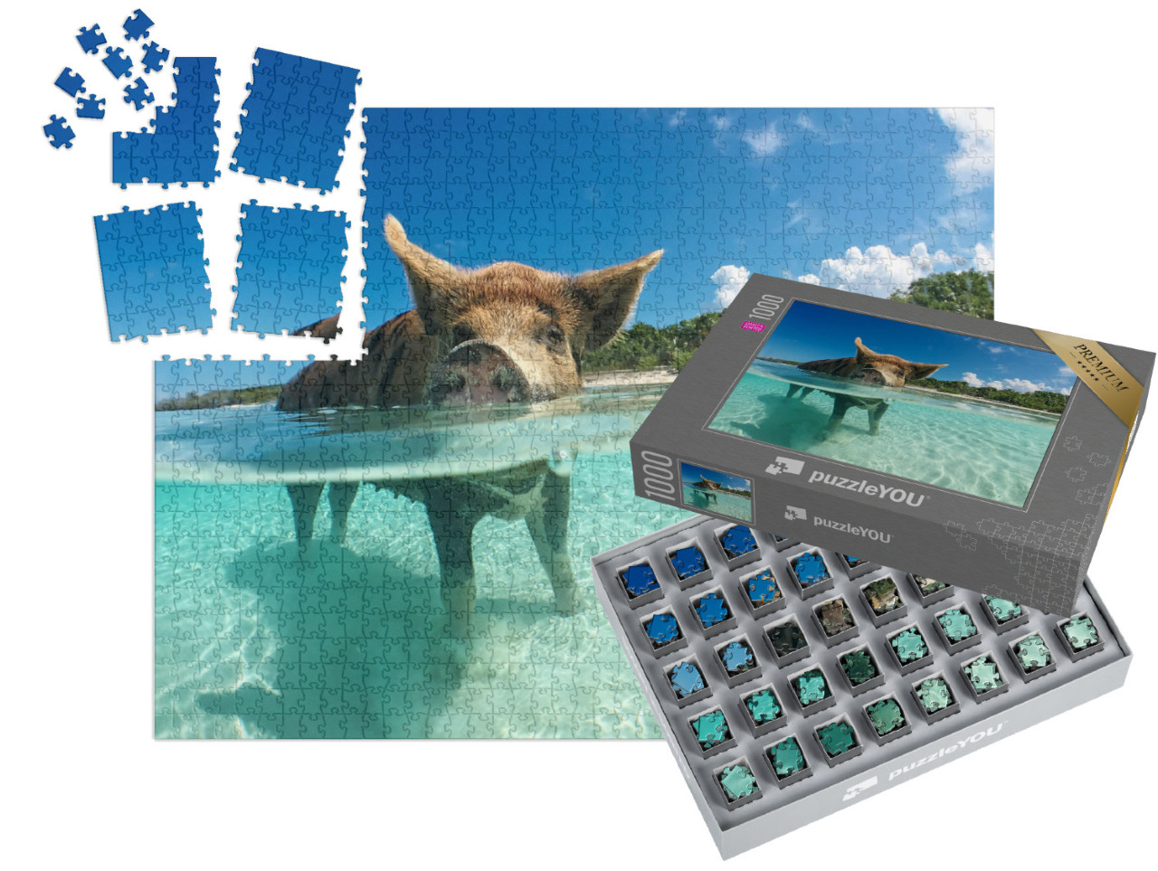 SMART SORTED® | Puzzle 1000 pezzi „Cinghiale amante dell'acqua alle Bahamas, nei Caraibi“