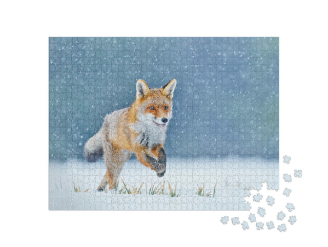 Puzzle 1000 pezzi „Volpe rossa a caccia sul prato innevato“