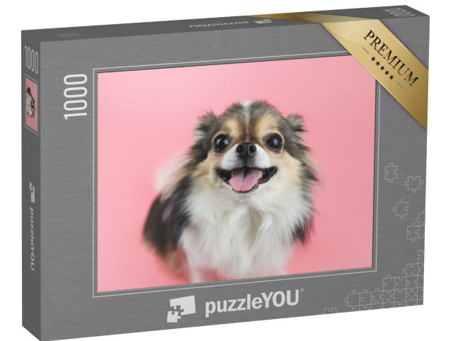 Puzzle 1000 pezzi „Chihuahua a pelo lungo e lingua rosa“