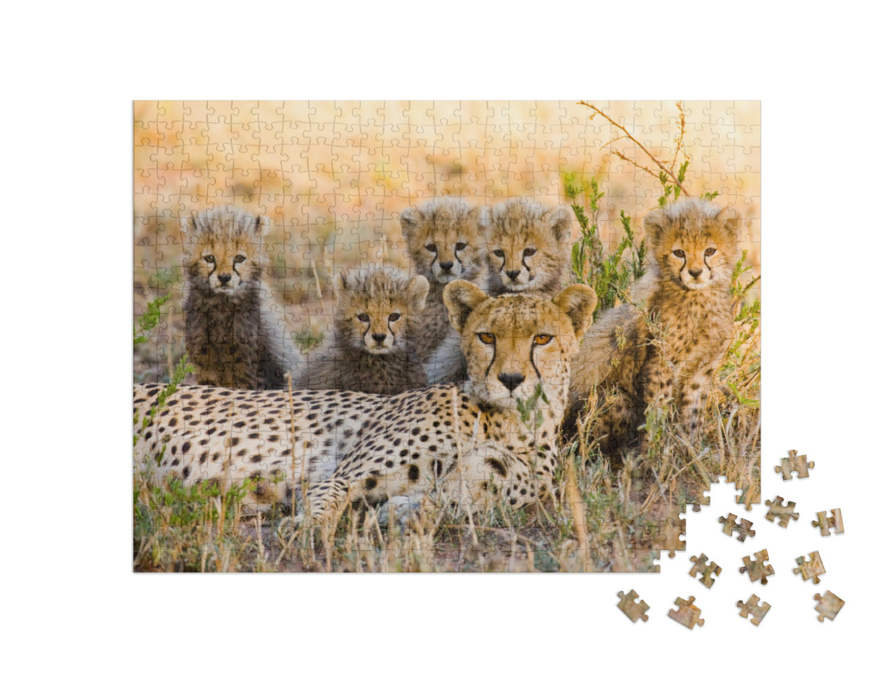 Puzzle 500 pezzi „Madre ghepardo e i suoi cuccioli nella savana, Kenya“