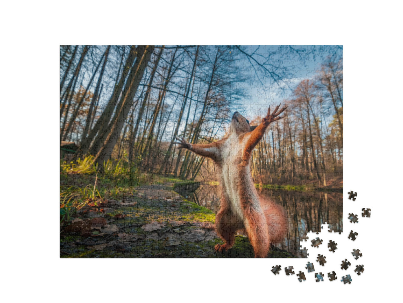 Puzzle 1000 pezzi „Divertenti pose da scoiattolo rosso nella foresta“