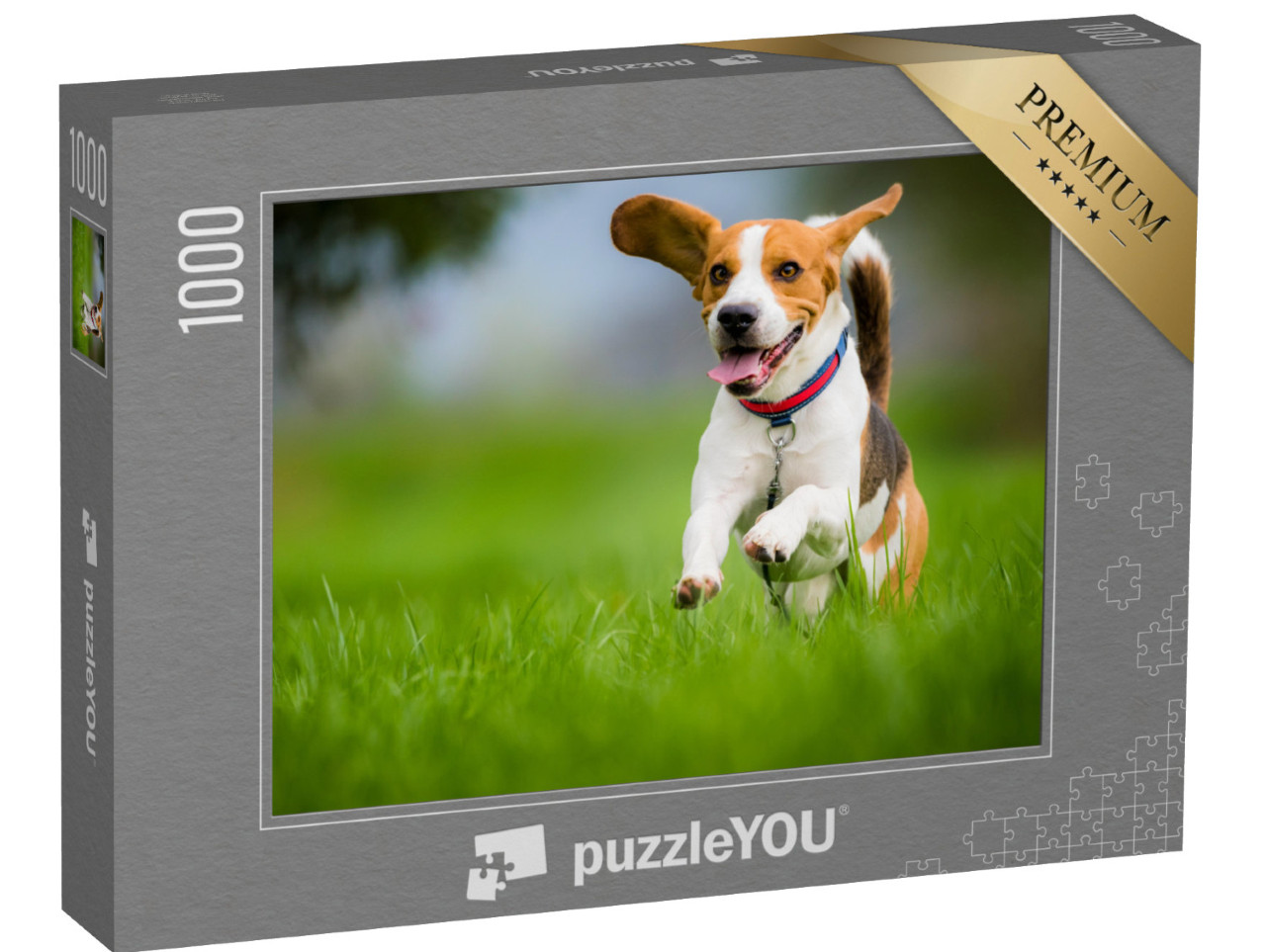 Puzzle 1000 pezzi „Un beagle in primavera“