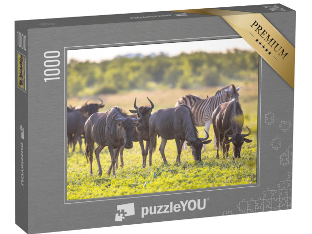 Puzzle 1000 pezzi „Gnu al pascolo nel letto del fiume Mooiplaas“