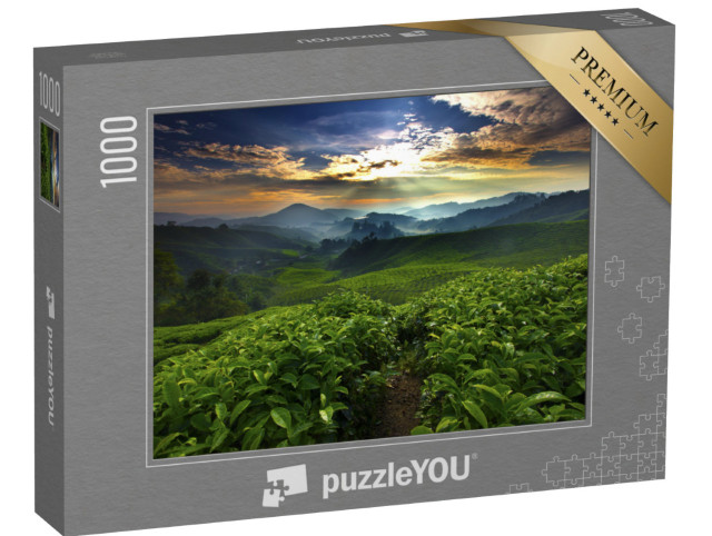Puzzle 1000 pezzi „Il sole splende sul giardino del tè“