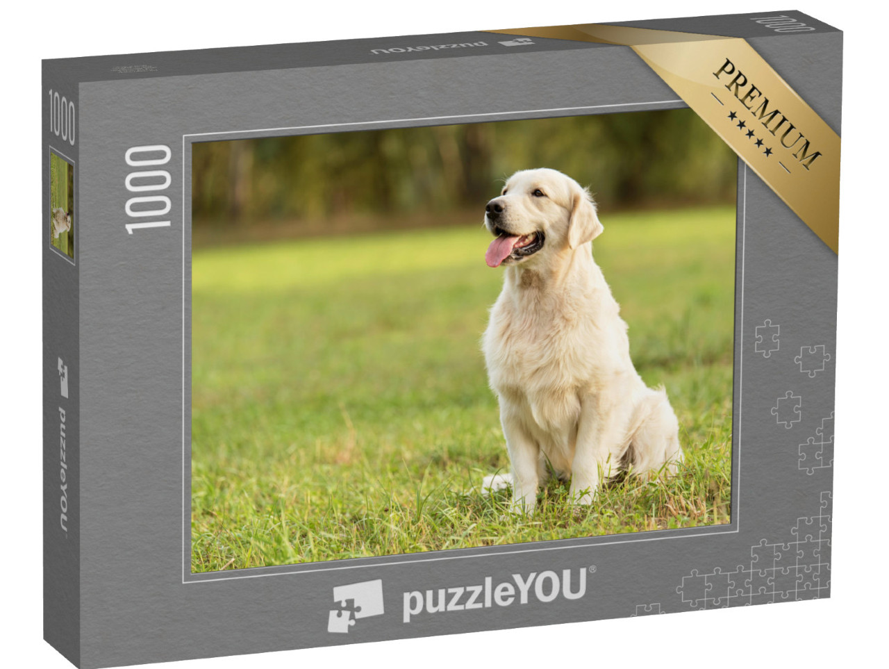 Puzzle 1000 pezzi „Golden Retriever nel parco“