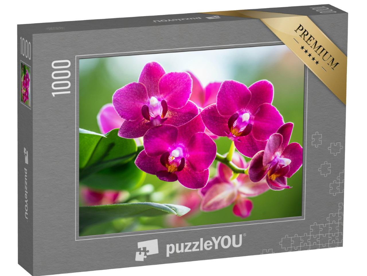 Puzzle 1000 pezzi „Il rosa radioso di un'orchidea in fiore“