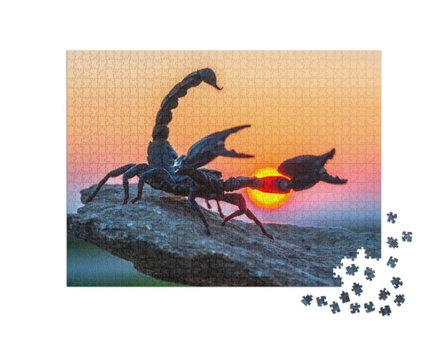 Puzzle 1000 pezzi „Lo scorpione imperatore“