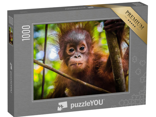 Puzzle 1000 pezzi „Il cucciolo di orango più carino del mondo guarda nella macchina fotografica nel Borneo“