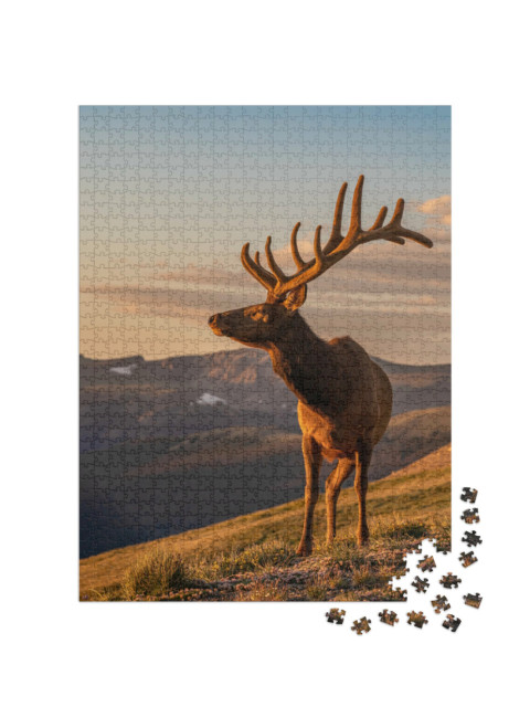 Puzzle 1000 pezzi „Alce selvatico“